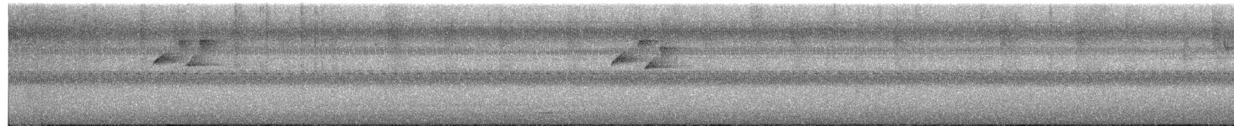 Brown Creeper - ML643240086