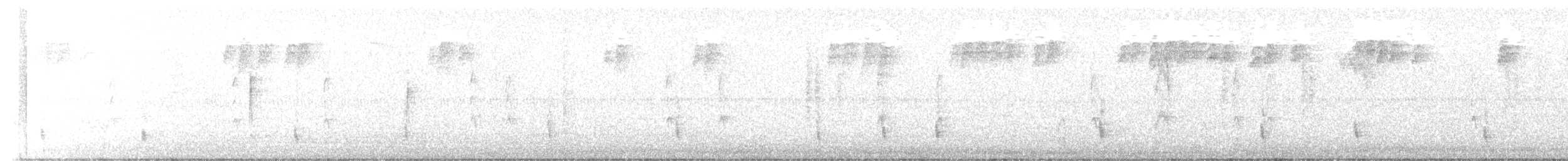 Hermit Thrush (faxoni/crymophilus) - ML643240248