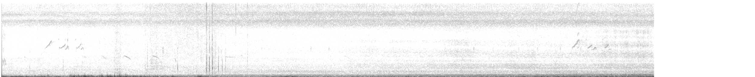 Solitary Sandpiper - ML643240769