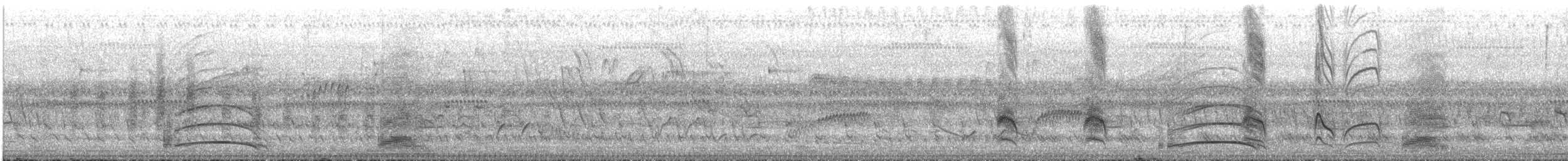 Limpkin - ML643241650