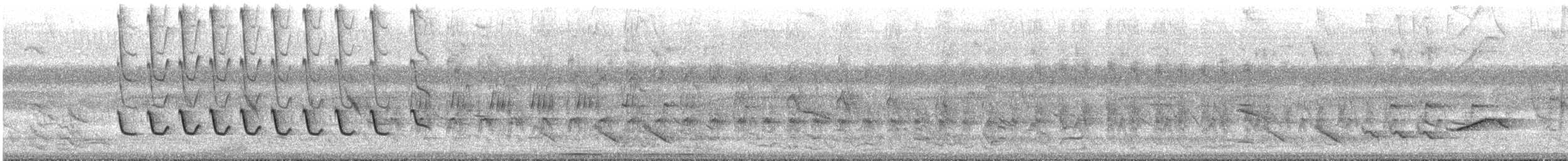White-winged Becard - ML643241795