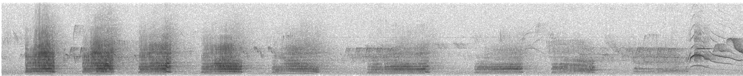 Cocoi Heron - ML643244240