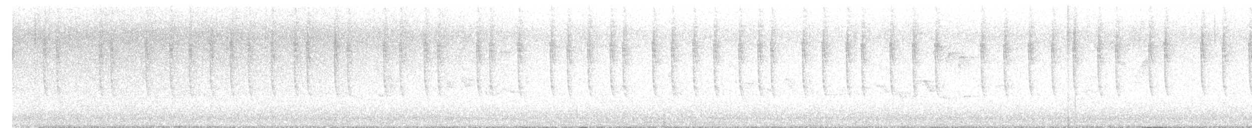 Broad-tailed Hummingbird - ML643245835