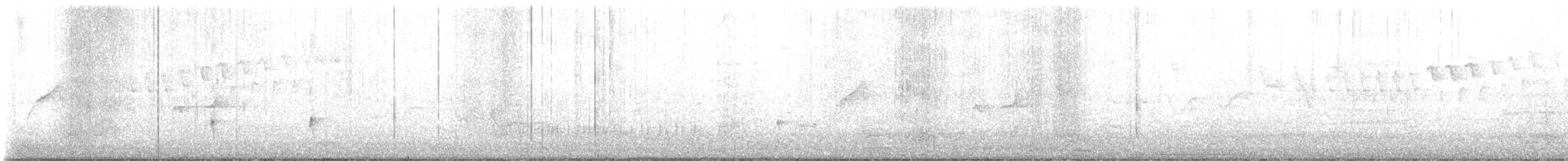 Gray-bellied Spinetail - ML643246433