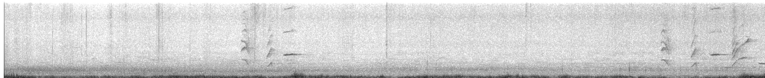 Austral Blackbird - ML643247254