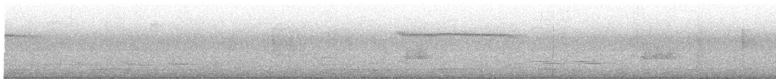 datlíček proužkobřichý - ML643247359