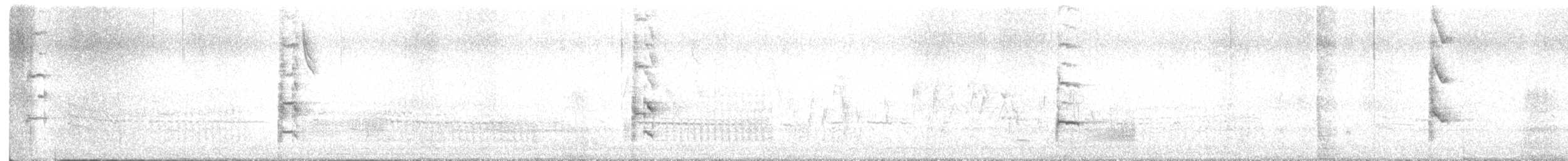 Virginia Rail - ML643247773