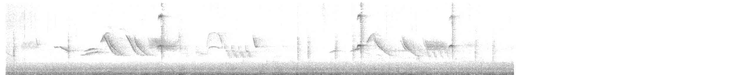 kolibřík velký - ML643248075