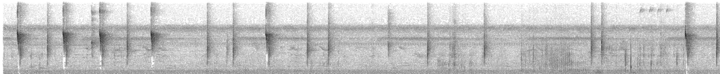 Yellow-browed Tody-Flycatcher - ML643249252