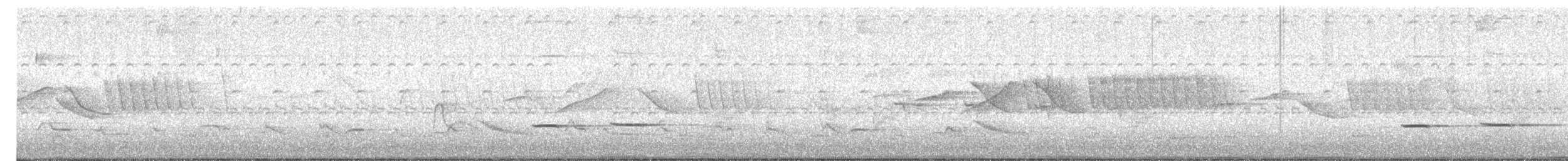 Striped Cuckoo - ML643252325