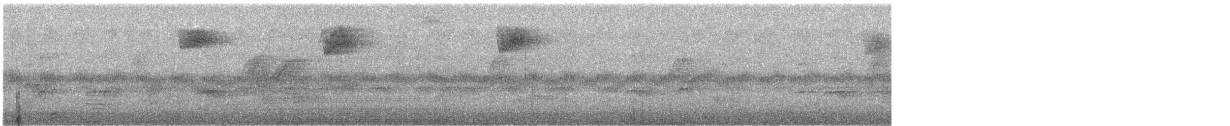 Turdus sp. - ML643252464