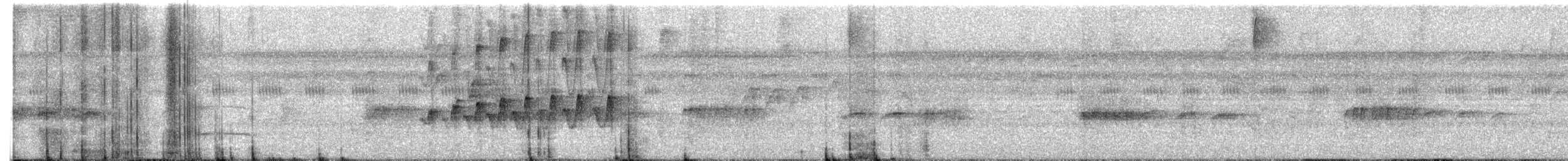 Wedge-billed Woodcreeper - ML643252536