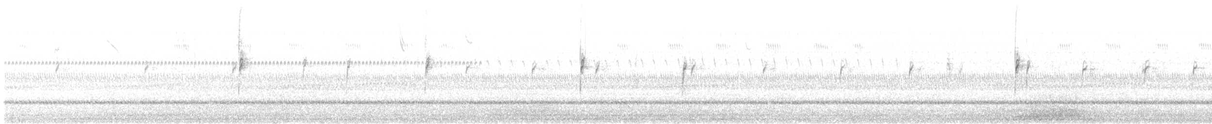 גיבתונית לבנת-כיפה - ML643255687