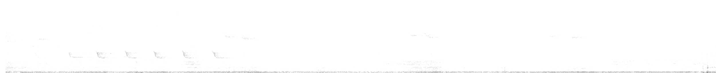 Greater Coucal - ML643259033