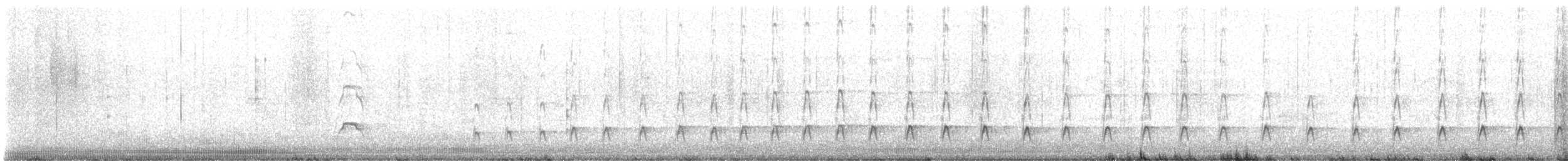 Variable Oystercatcher - ML643260319