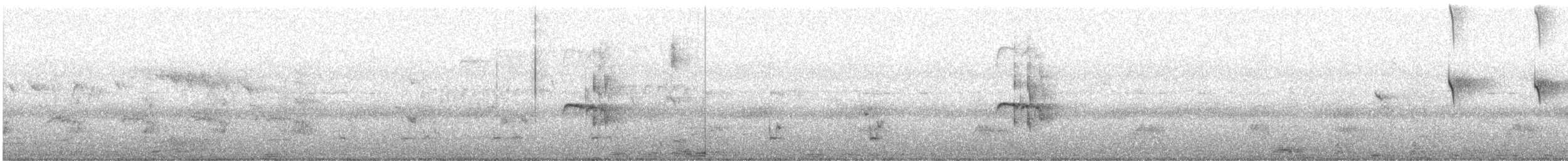 Northern Beardless-Tyrannulet - ML643260407
