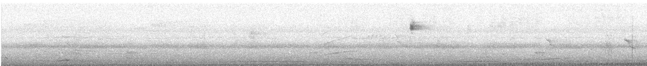 Northern Beardless-Tyrannulet - ML643260408