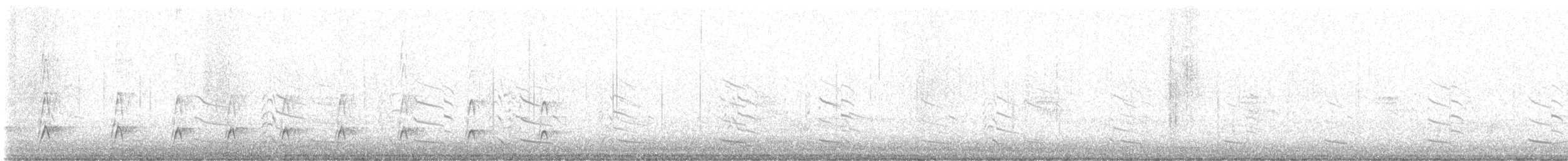 Variable Oystercatcher - ML643260535