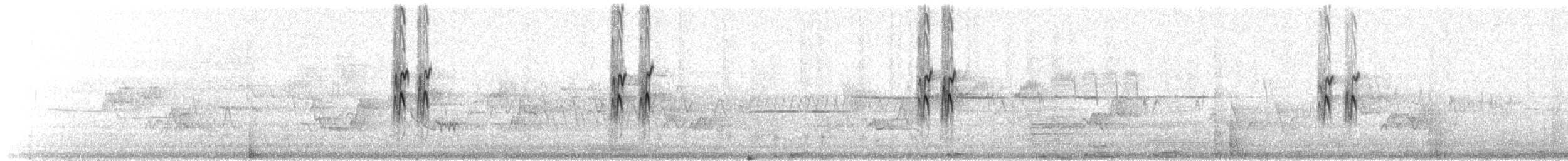 Enara arrunta - ML643261594