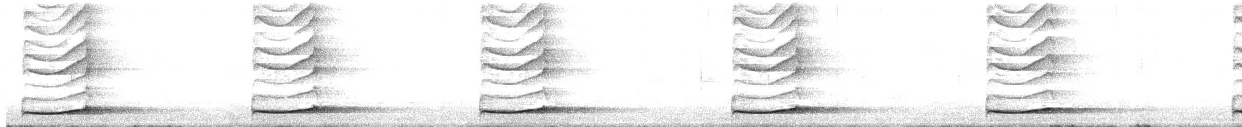 Pacific Koel - ML643262199