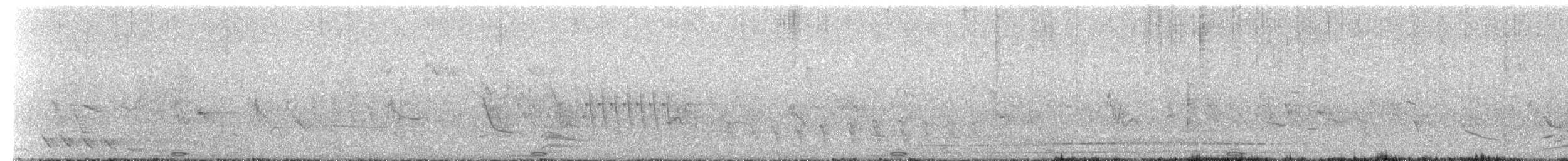 Stripe-backed Bittern - ML643262213