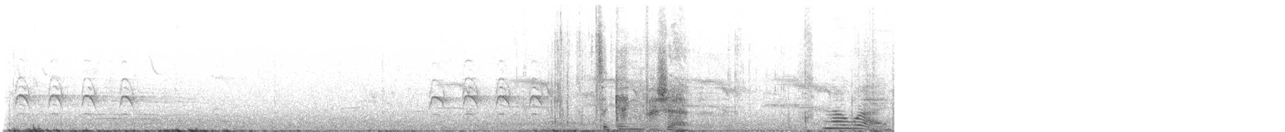 Sacred Kingfisher - ML643262332