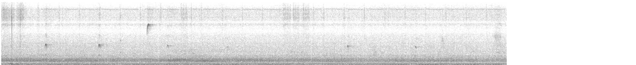 Couch's Kingbird - ML643262373