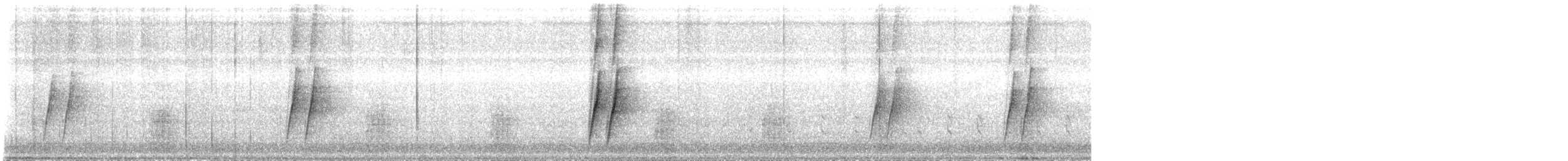 Curve-billed Thrasher - ML643262418