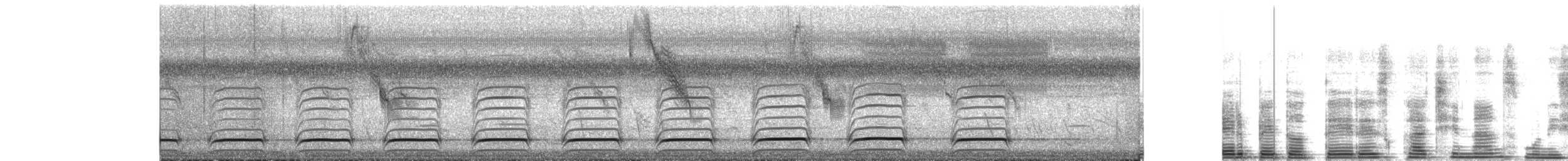 ワライハヤブサ - ML643262685