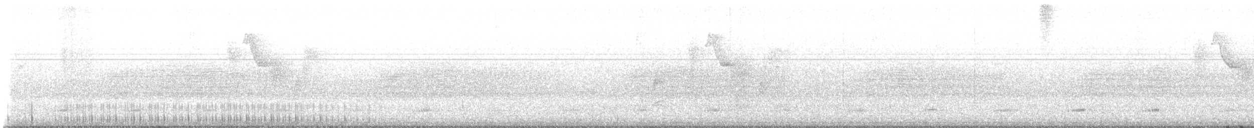 Keel-billed Toucan - ML643263268