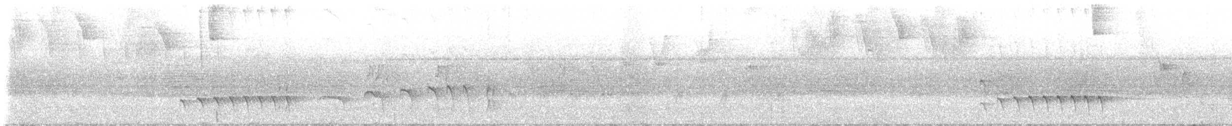 Dusky Antbird - ML643264299