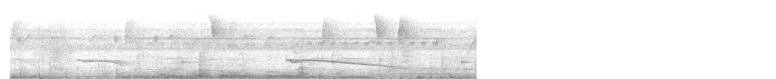 Great Eared-Nightjar - ML643264412