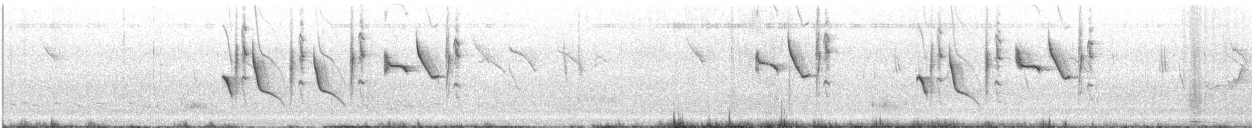 Chestnut-rumped Thornbill - ML643264454