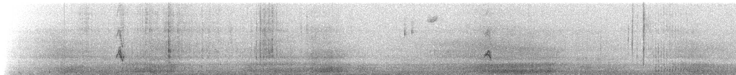 House Finch - ML643265524