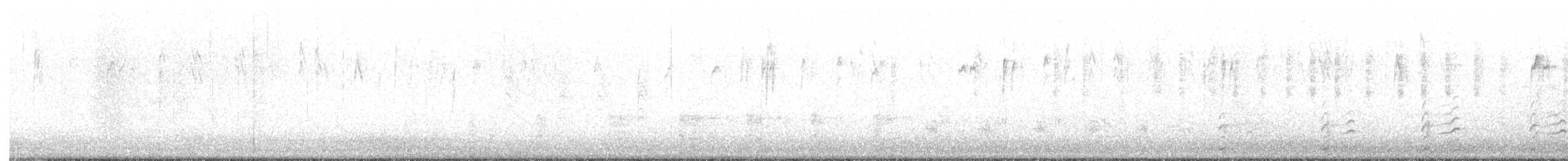 Kopetazuri amerikarra - ML643265585