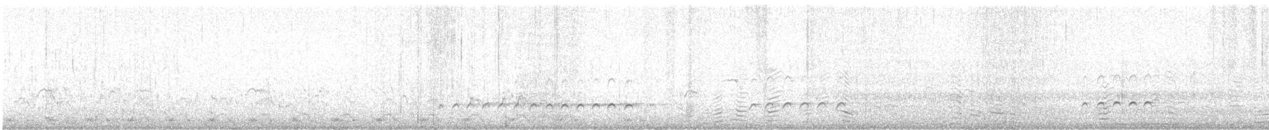 Whimbrel (Hudsonian) - ML643265685