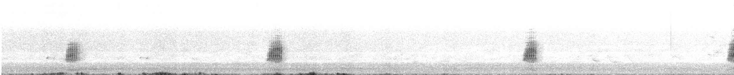 Lewin's Rail - ML643266174