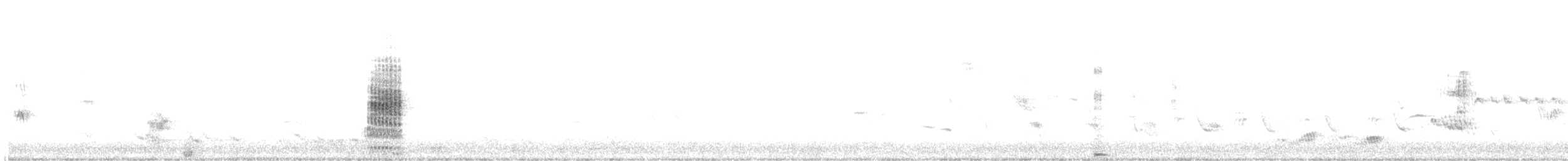 Lewin's Rail - ML643266260