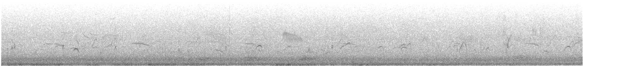 strakapoud východní - ML643266578