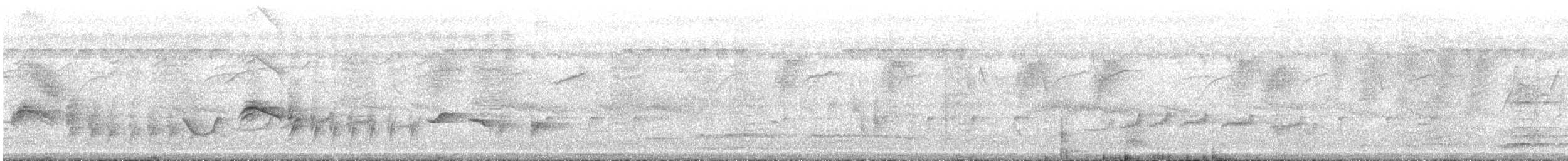 Common Iora - ML643267470