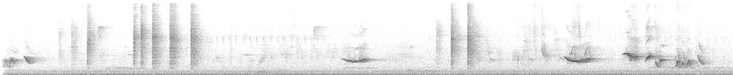 White-rumped Shama - ML643267485