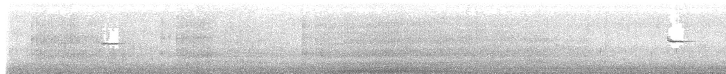 タカサゴミソサザイ - ML643267869