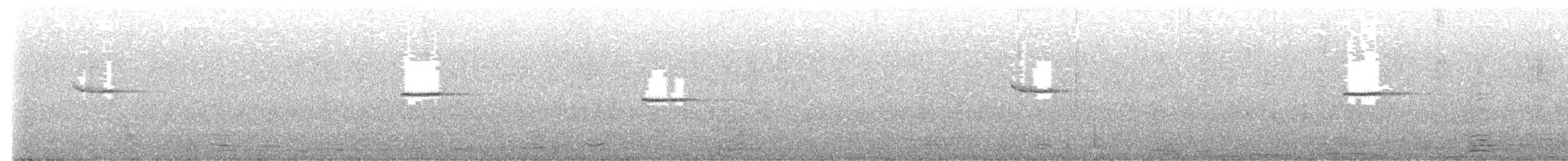 タカサゴミソサザイ - ML643267870