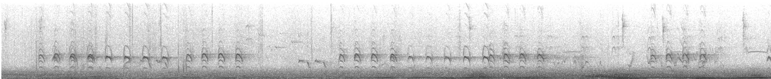 Sacred Kingfisher - ML643269341