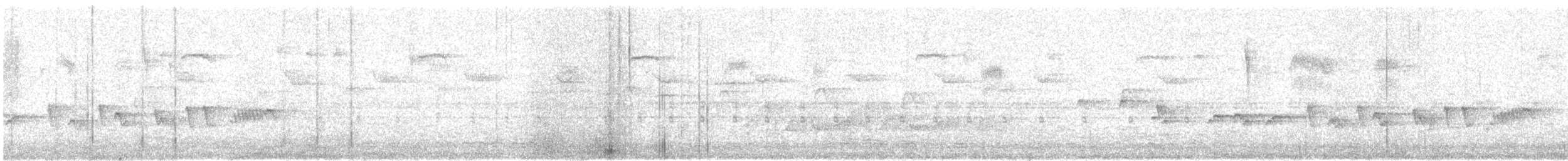 Lewin's Rail - ML643269367