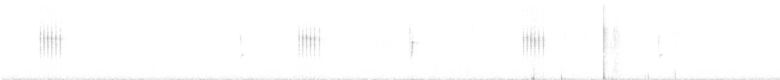 חטפית גמדית - ML643270092