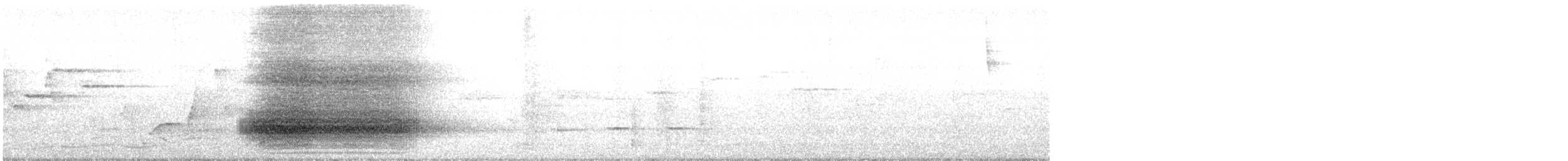 Paradise Riflebird - ML643270115