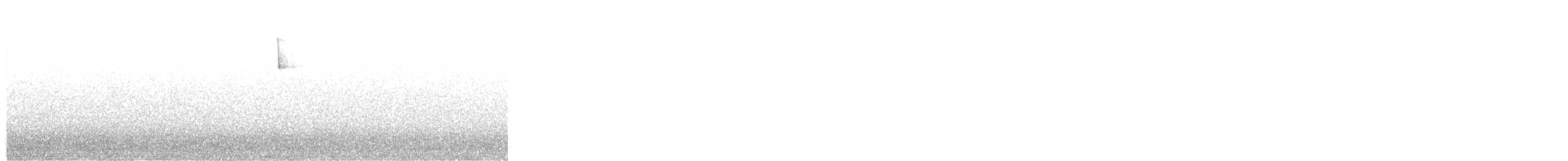 Öter Ardıç - ML643271228