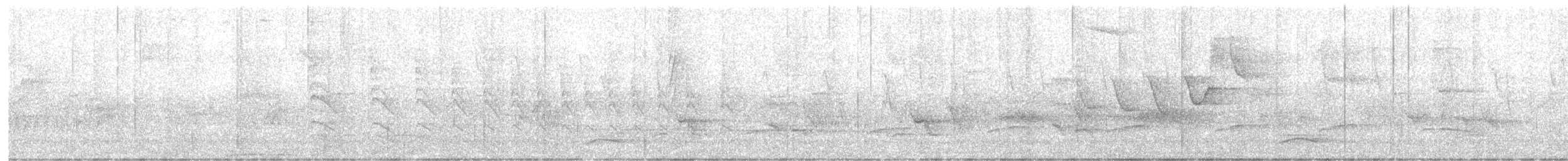 White-necked Thrush - ML643272542