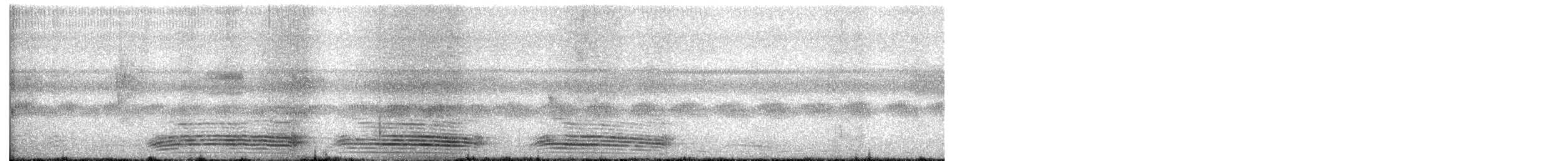 Large-billed Crow - ML643272668